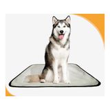 Banheiro Para Cachorro Móvel Lavável 1un G 90x100cm