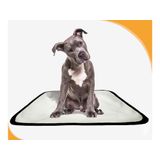 Tapete Para Pets Higiênico Em Oferta 2 Un P 50x60cm