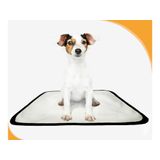Tapete Para Cães Lavável Em Oferta 10 Un Pp 40x50cm