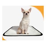 Tapete Para Pets Lavável Canino Prático 4 Un P 50x60cm