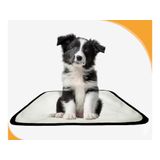 Tapete Para Pets Lavável Em Oferta 1 Un Pp 40x50cm