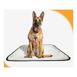 Tapete Para Cachorros Em Oferta Pet 3un G 90x100cm