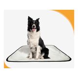 Tapete Canino Lavável Pet Em Oferta 1un M - 60 X 80 Cm