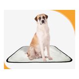 Tapete Para Pets Higiênico Em Oferta 2 Un G 90x100cm