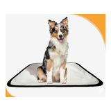 Tapete Canino Pet Estratégico Em Oferta 1 Un P 50x60cm