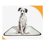 Tapete Pet Lavável Prático Estratégico 4 Un M 60x80 Cm