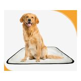 Tapete Para Pets Lavável Em Oferta 10 Un G1 100x120cm
