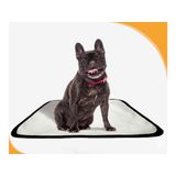 Tapete Para Pets Estratégico Em Oferta 3 Un P 50x60cm