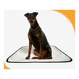 Tapete Canino Lavável Pet Em Oferta 1un G 90x100cm