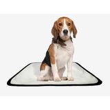 Tapete Pet Reutilizável Adestramento Oferta 1 Un P 50x60cm