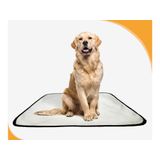 Tapete Para Pets Lavável Canino Prático 1 Un G 90x100cm