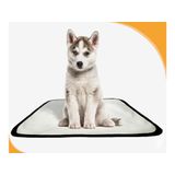 Tapete Para Pets Lavável Higiênico Prático 3 Un P 50x60cm