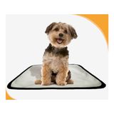Tapete Para Xixi De Cachorro Pet, 10 Unidades P 50x60 Cm