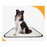 Tapete Para Pets Higiênico Em Oferta 4 Un M 60x80 Cm