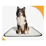 Tapete Para Cães Prático Ecológico 3 Un M1 70x100 Cm