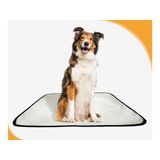 Banheiro Canino Lavável Pet Em Oferta 2un G 90x100cm