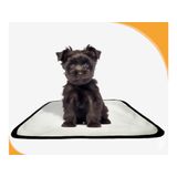 Tapete Para Cães Higiênico Ecológico 3 Un P 50x60cm