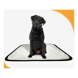 Tapete Para Cães Higiênico Em Oferta 4 Un P 50x60cm