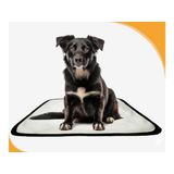 Tapete Para Pets Lavável Em Oferta 5 Un P 50x60cm