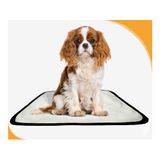 Tapete Para Pets Lavável Canino Em Oferta 2 Un P 50x60cm