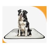 Tapete Canino Pet Prático Estratégico 4 Un M 60x80 Cm