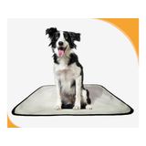Tapete Para Xixi De Cachorro Pet, 10 Unidades M 60x80 Cm