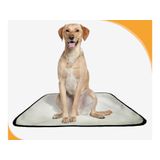 Fralda Móvel Pet Para Cachorros Lavável 5un M 60x80 Cm