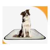 Tapete Adestramento De Cachorros Reutilizável 4un G 90x100