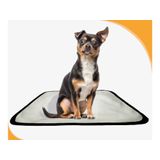 Tapete Lavável Dog Adestramento Higiênico 4un P - 50x60 Cm