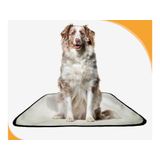 Tapetes Reutilizáveis Para Xixi E Uso De Cães 3un G 90x100cm
