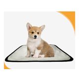Tapete Para Adestramento Pet Reutilizável 5un P 50x60 Cm