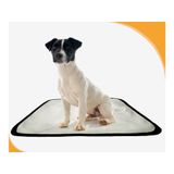 Tapete Dog Para Cães Lavável Absorvente 4 Un P - 50x60 Cm