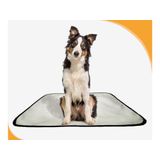 Banheiro Canino Móvel Reutilizável Pet 10un M 60x80 Cm