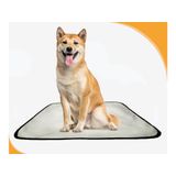 Tapete Pet Para Cães, Higiênico, Lavável, 5 Un M - 60x80 Cm