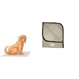 10 Tapetes Higiênicos Lavável, Canino Cães Cachorro 60x80, M