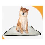 Banheiro Para Cachorro Móvel Lavável 3un M 60x80 Cm