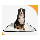Tapete Para Cachorros Em Oferta Pet 5un M - 60 X 80 Cm