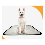 Tapete De Treinamento Canino Lavável 2un M - 60x80 Cm