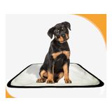 Tapete Para Cachorros Em Oferta Pet 3un P - 50 X 60 Cm