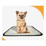 Tapete Higiênico Lavável Pet Em Oferta Kit 10un P 50x60cm