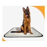 Tapete Para Xixi De Cachorro Pet, 10 Unidades G 90x100cm