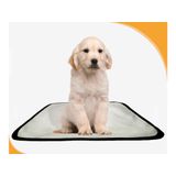 Banheiro Para Cães Higiênico Lavável 10 Un P - 50 X 60 Cm