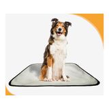 Tapete Higiênico Lavável Pet Em Oferta Kit 5un G 90x100cm