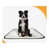 Tapete Para Cães Higiênico Ecológico 10 Un M 60x80 Cm