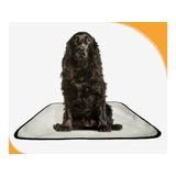 Banheiro Canino Para Adestramento 3 Unidades M - 60x80 Cm