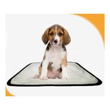 Tapetes Reutilizáveis Para Xixi E Uso De Cães 2un P 50x60 Cm