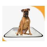 Tapete Canino Pet Estratégico Em Oferta 4 Un M 60x80 Cm
