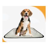 Tapete Higiênico Canino Absorvente Pet 4 Un M - 60 X 80 Cm