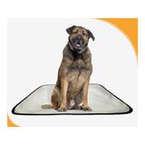 Tapete Higiênico Dog Adestramento 4 Unidade G - 90x100 Cm