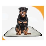 Tapetes Higiênicos Pet Lavável Absorvente 3 Un G 90x100 Cm